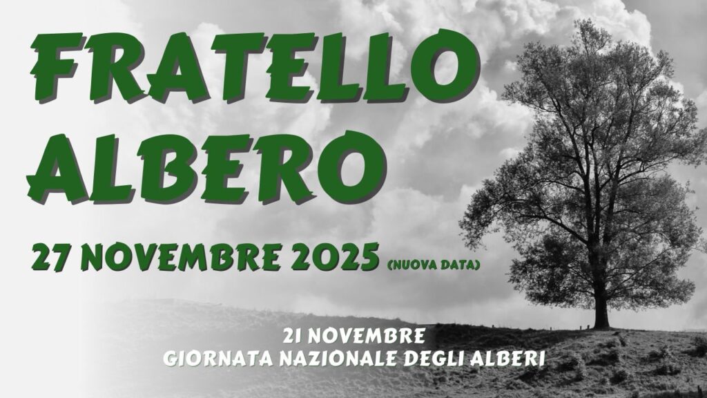 fratello albero