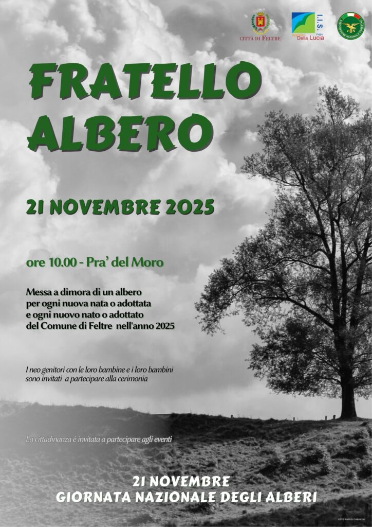 fratello albero