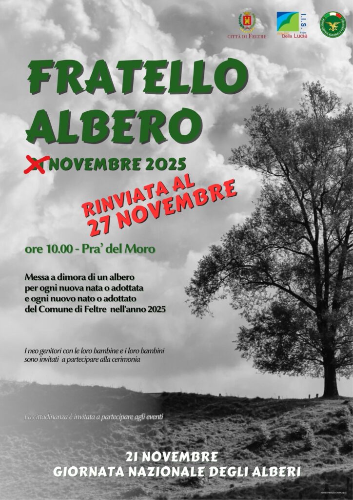 fratello albero . rinviato