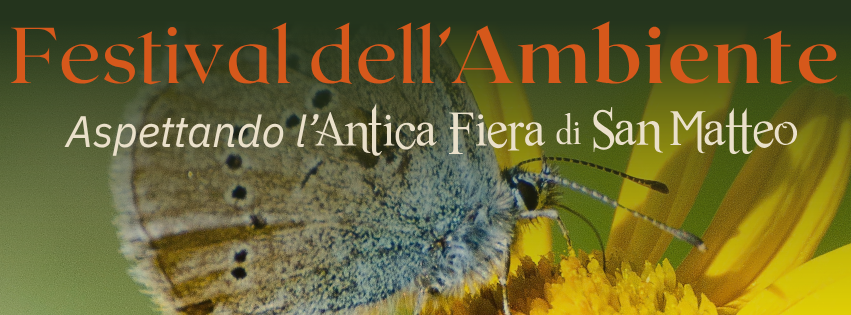 Progetto senza titolo ()